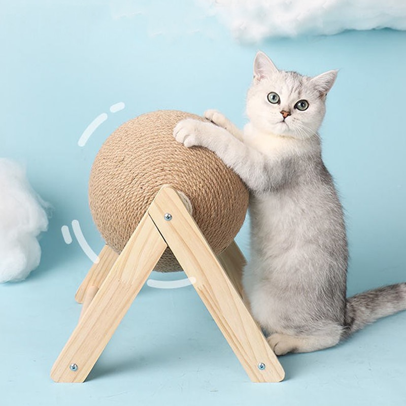  Cat Scratcher 